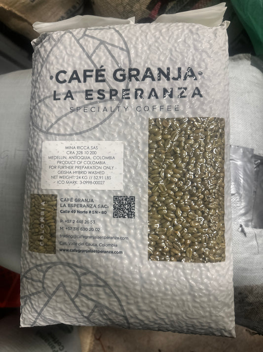 GEISHA Hybrid Washed | 87.35 | Granja La Esperanza | Valle del Cauca, Colombia | $10.5lb